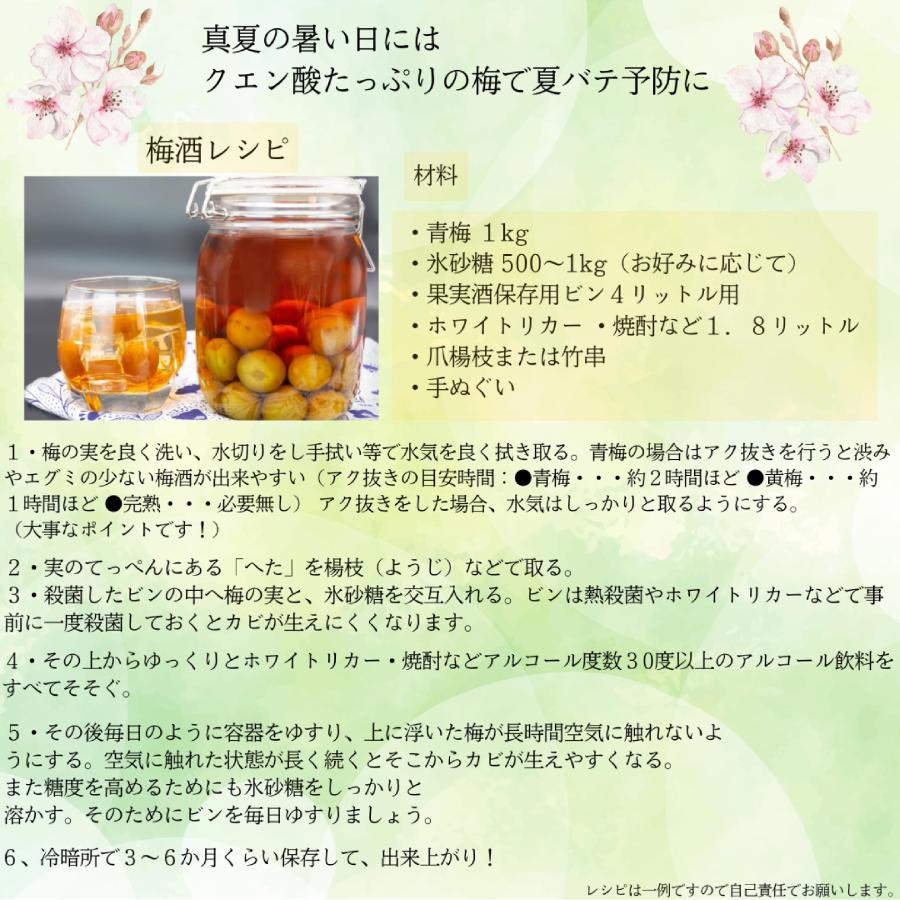 クール便 青森県産 青梅 ご家庭用（豊後）ぶんご 3kg 送料無料