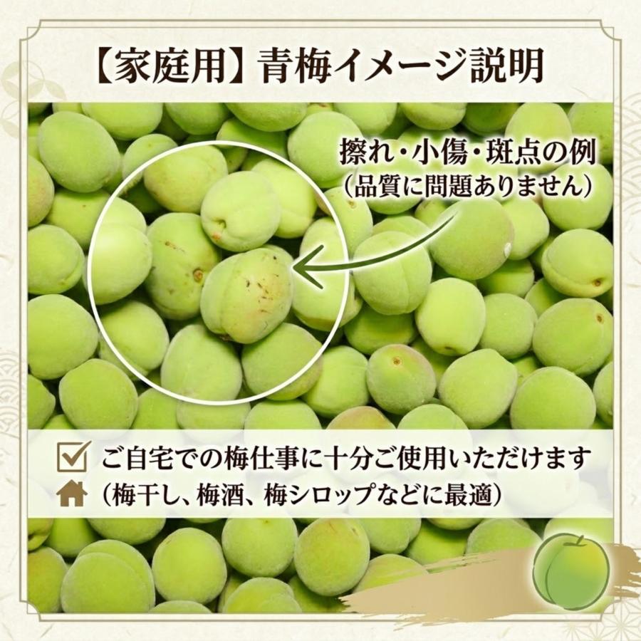 クール便 青森県産 青梅 ご家庭用（豊後）ぶんご 3kg 送料無料