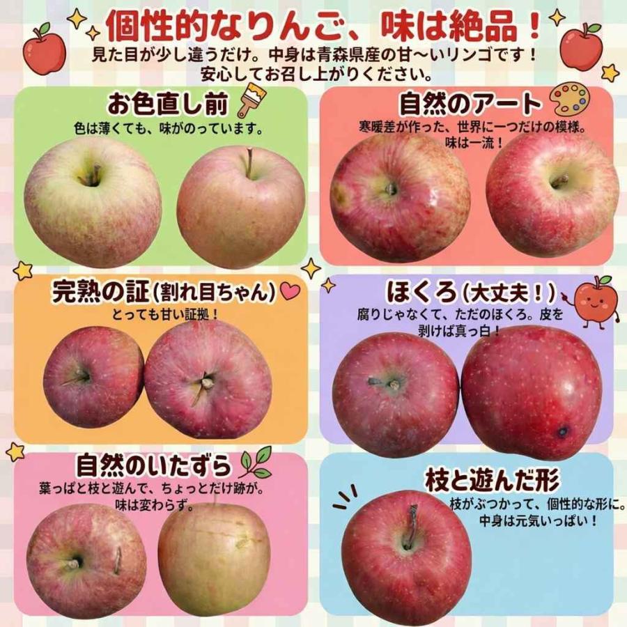 返金保証！スマートフレッシュ！青森県産 りんご 訳あり 5kg サンふじ