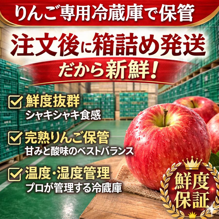 返金保証！スマートフレッシュ！青森県産 りんご 訳あり 5kg サンふじ
