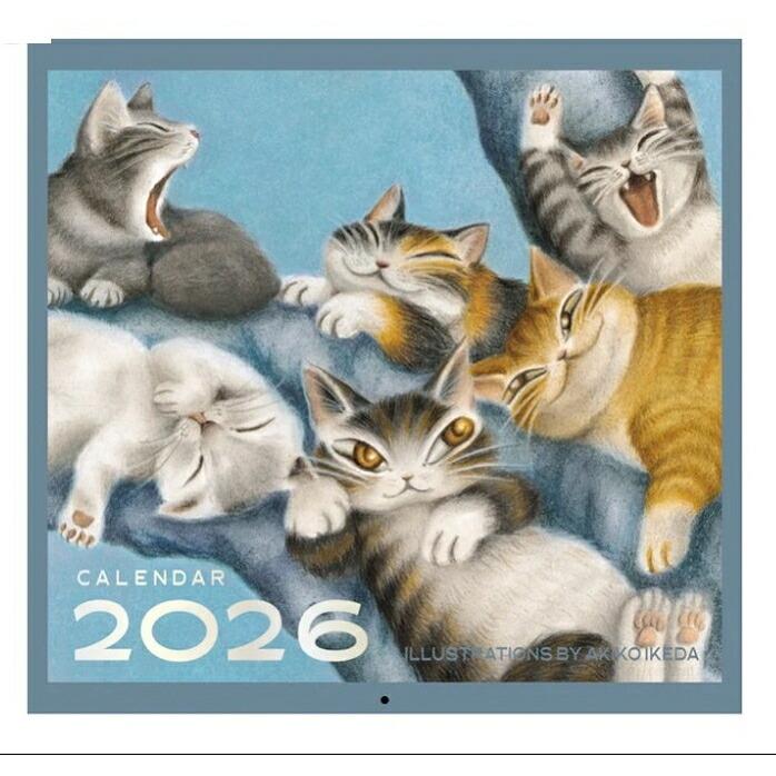 ダヤン カレンダー わちふぃーるど WFカレンダー 2026年 壁掛け