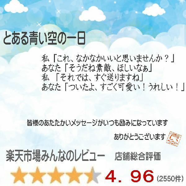 ダヤン キーホルダー わちふぃーるど ファスナー引手 にゃんキュー ファスナートップ レディース メンズ バッグチャーム 猫 猫柄 猫好き ネコ｜aoisoraya｜08