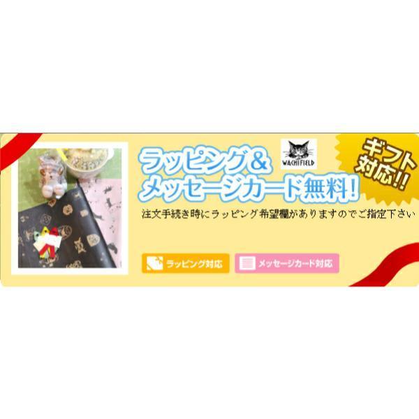 わちふぃーるど（WachiField） ダヤン カードケース にゃんキュー 本革