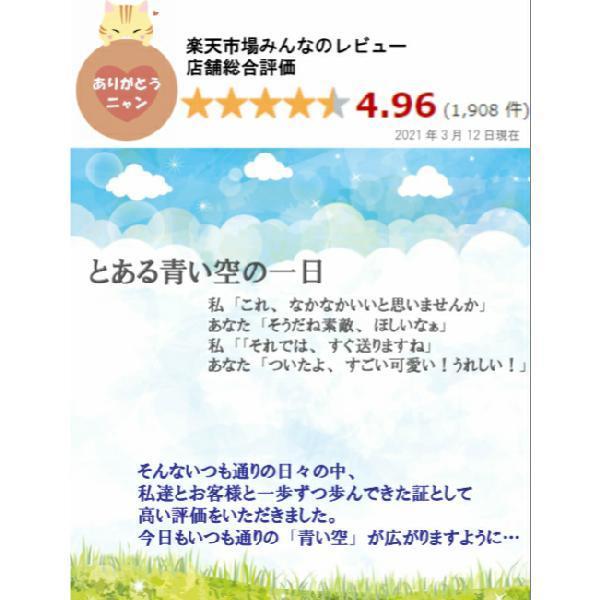 ダヤン カードケース わちふぃーるど にゃんキュー 本革カード収納 メンズ レディース 猫 猫柄 ネコ柄 財布 プレゼント か Wach Nyan 青い空ヤフー店 通販 Yahoo ショッピング