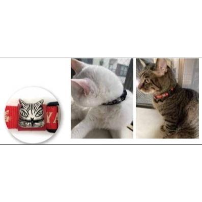 ダヤン 首輪 わちふぃーるど 外れるペットバンド（黒/赤） 猫 猫柄 猫