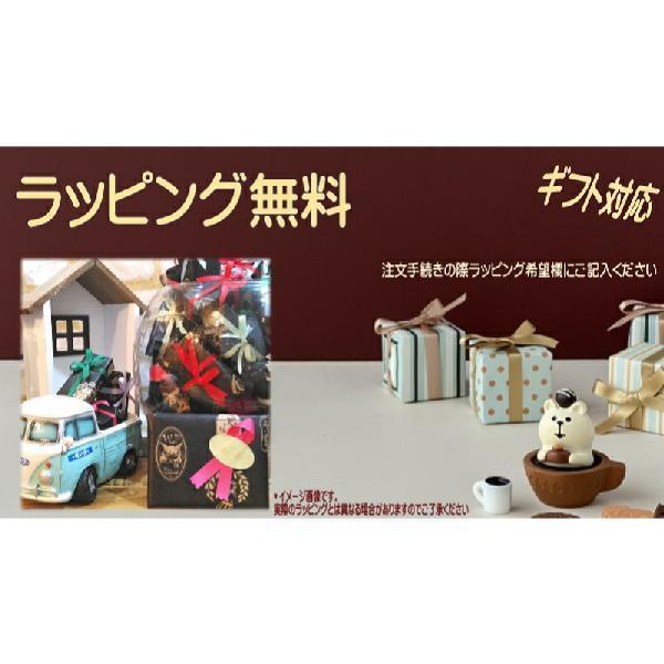 わちふぃーるど ダヤン 財布 ラウンドパース（お祭り広場/川辺の