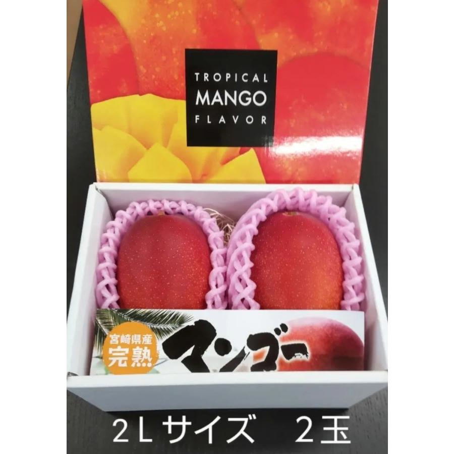 クール便 完熟マンゴー 2Lサイズ 2玉入り 宮崎県産 マンゴー 化粧