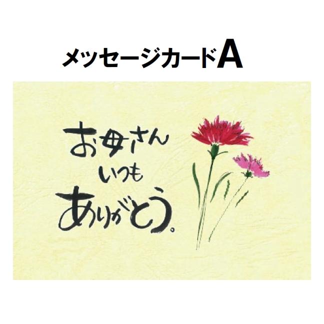 【5月1日〜3日お届け】フルーツギフト 詰め合わせ 青木フルーツ 母の日フルーツギフトＣ（クール便）｜aokifruits｜04