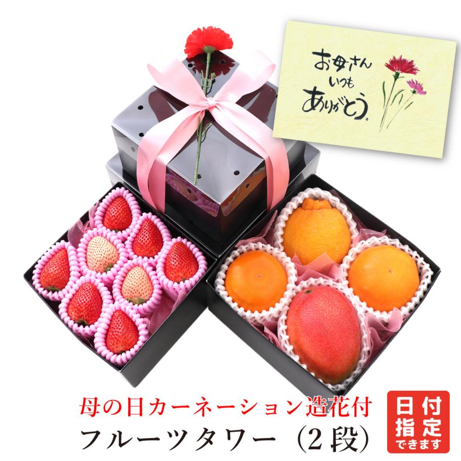 母の日 カーネーション 造花 付 フルーツタワー（２段） いちご おすすめ柑橘 デコポン にじゅうまる マンゴー 白いちご （クール便）（Yahoo!・青木フルーツ ヤフーショッピング店）
