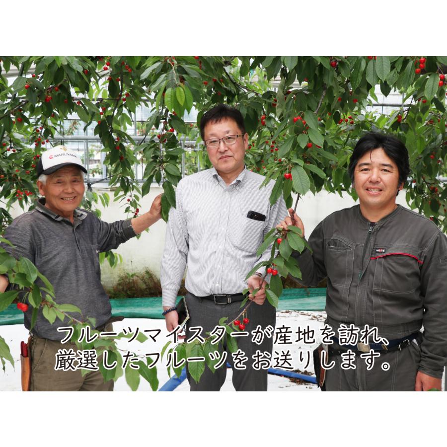 【当日発送OK】サマーフルーツギフト B メロン（青肉または赤肉） 桃 （クール便） 敬老の日 | 青木フルーツ | 08