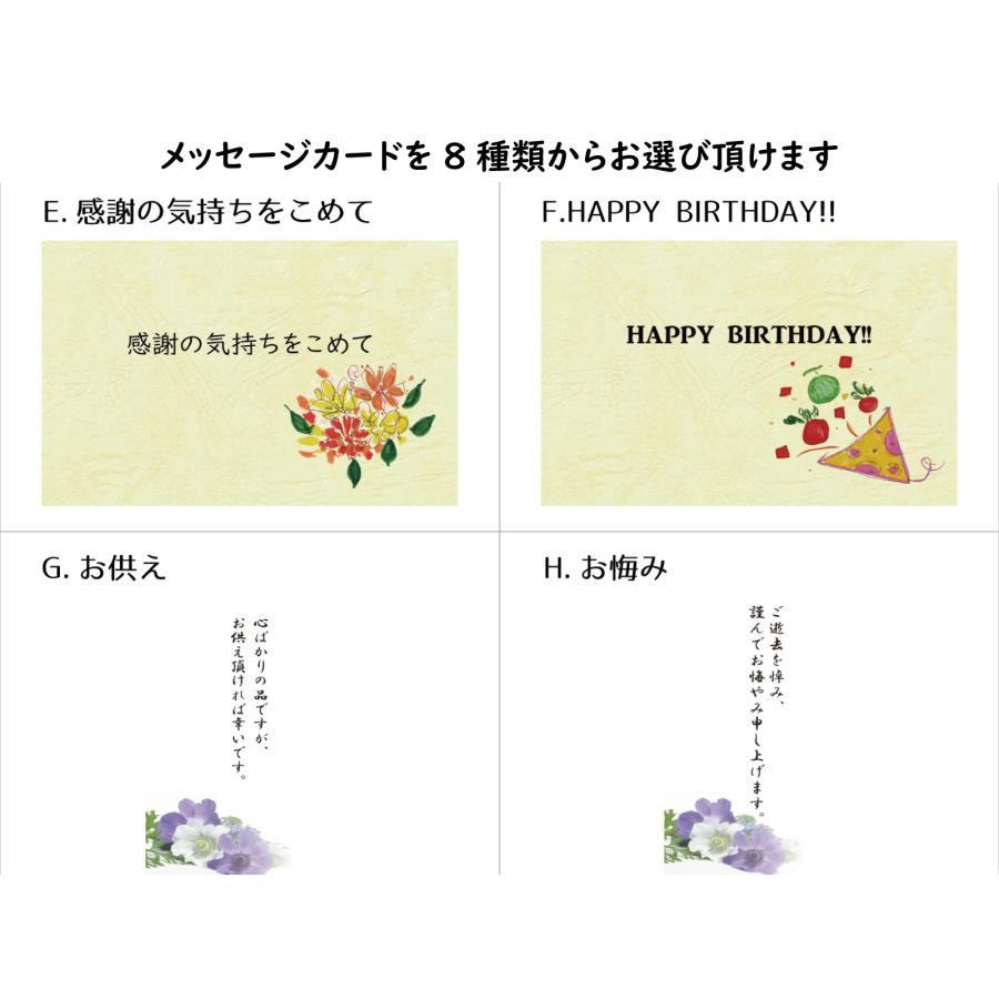 【当日発送可】新春 フルーツギフトC いちご 紅まどんな 白いちご （クール便）爆買 | 青木フルーツ | 05