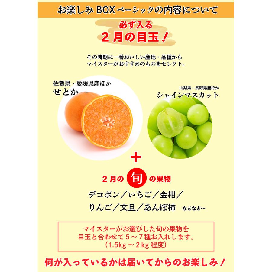 青木フルーツ 果物 フルーツ 旬の お楽しみ フルーツBOX ベーシック
