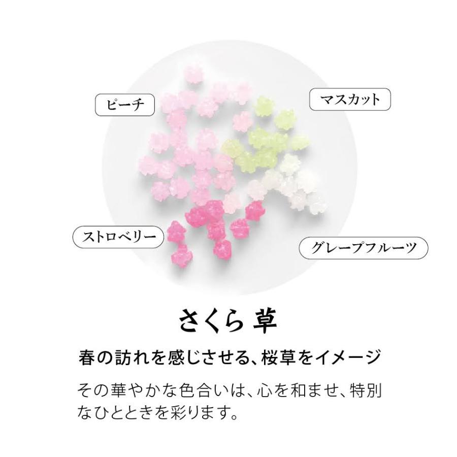 紙箱2コ入金平糖 忘れな草 さくら草」 和菓子 洋菓子 お菓子