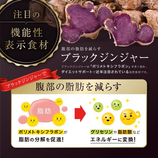 ブラックジンジャー 乳酸菌 サプリ ダイエットサプリ 脂肪燃焼 皮下脂肪 内臓脂肪 減らす 肥満 対策 体脂肪 燃焼 中性脂肪 体重 あお季の杜｜aokinoto｜05