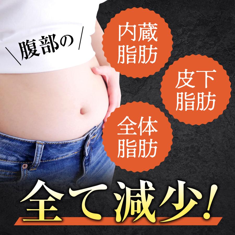 あお季の杜 ブラックジンジャー 乳酸菌 サプリ ダイエットサプリ 脂肪