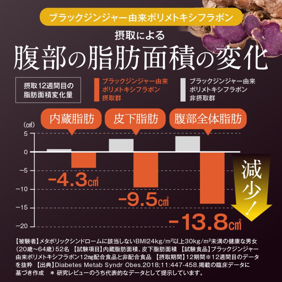 あお季の杜 ブラックジンジャー 乳酸菌 サプリ ダイエットサプリ 脂肪