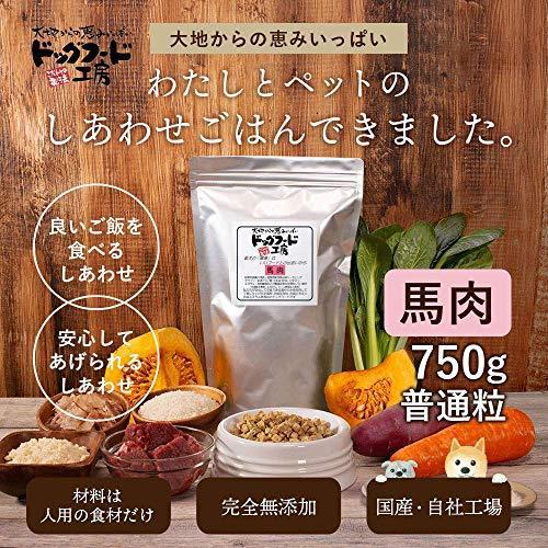 ドッグフード工房 無添加 国産 (生づくり製法) ドライフード 通常粒 カリカリタイプ (馬肉 / 750 g) 天然素材 シニア/成犬用/小型犬|aokishouten|02