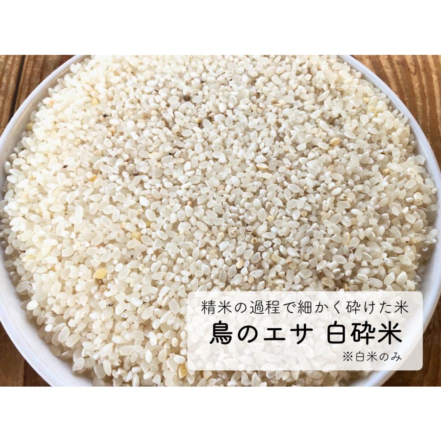 鳥の餌 鳥のエサ 砕米 10kg 送料無料 : あおき商店 - 通販 鳥の餌 鳥のエサ 砕米 10kg 送料無料 : あおき商店 - 通販