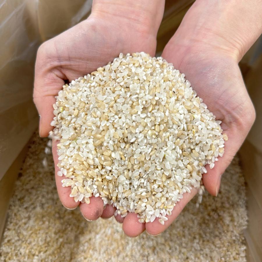 鳥の餌 鳥のエサ 着色米 爆買 斑点米 虫食い 10kg 送料無料 : あおき