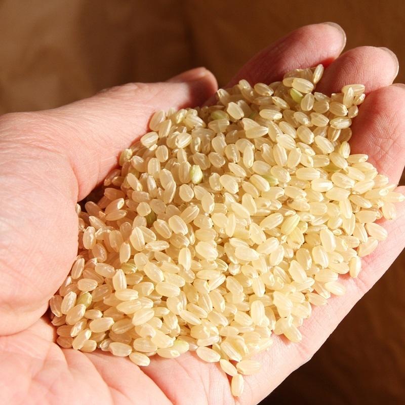 令和6年産 ミルキークイーン 30kg 玄米 白米 茨城県産 笠間産 1 令和6年産 ミルキークイーン 30kg 玄米 白米 茨城県産 笠間産 1