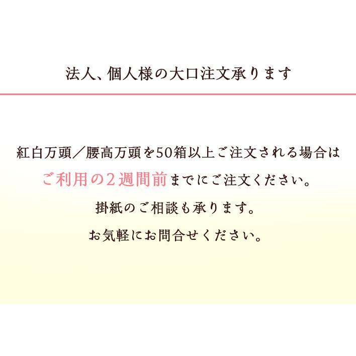 祝の焼き印入　紅白万頭小2個入　東京 祝饅頭 御祝 内祝 卒業 入学 年賀 敬老 七五三 慶事 結婚 母の日 父の日 お返し 取寄せ ギフト |  | 08