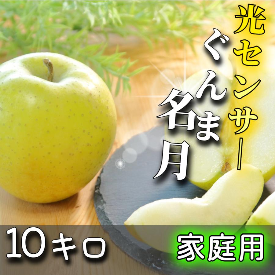2026年10月予約 【光センサー選果保証】 高糖度 青森県産 りんご