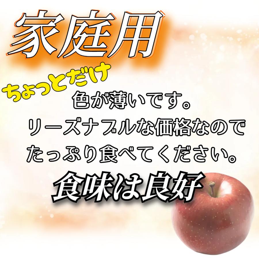 2026年10月予約 【光センサー選果保証】 高糖度 青森県産 りんご
