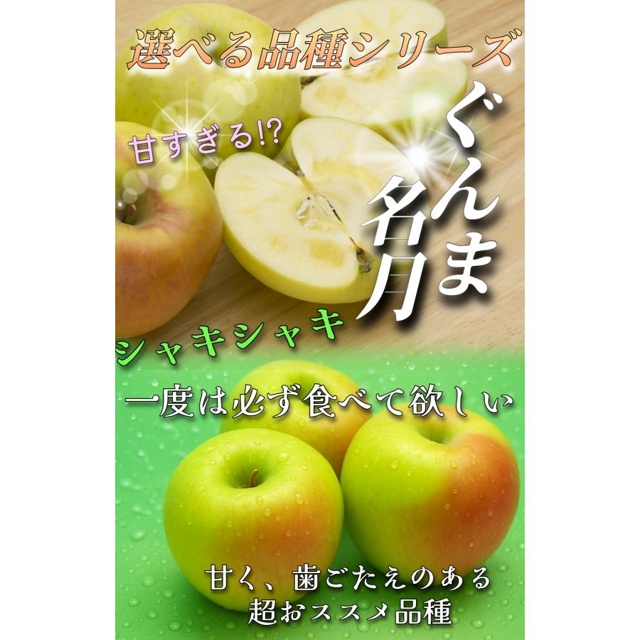 りんすけ品 ご依頼品 ぎゅーっ！と、りんご。Mini」16gのお得通販｜Kuradashi(クラダシ)で