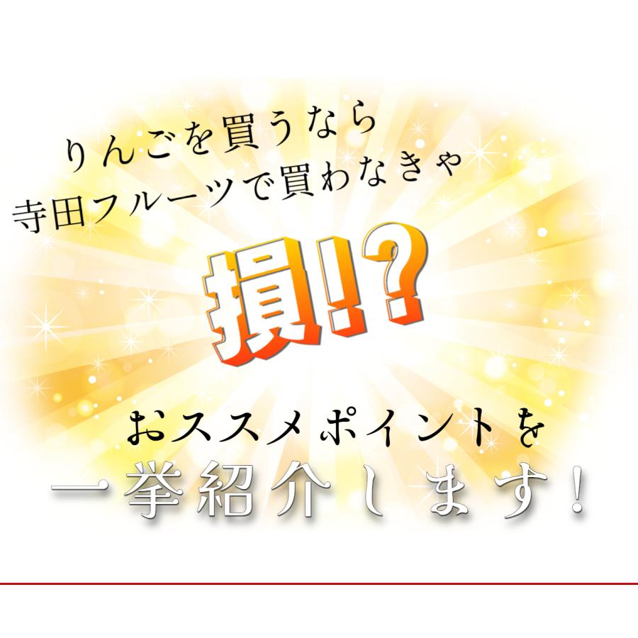 2026年10月予約 【光センサー選果保証】 高糖度 青森県産 りんご