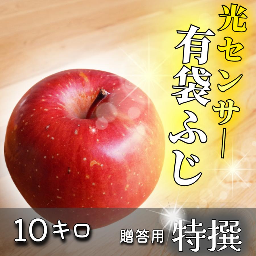青森 ゴールド農園 葉取らずサンふじ 10キロ箱 赤特秀 【公式通販】