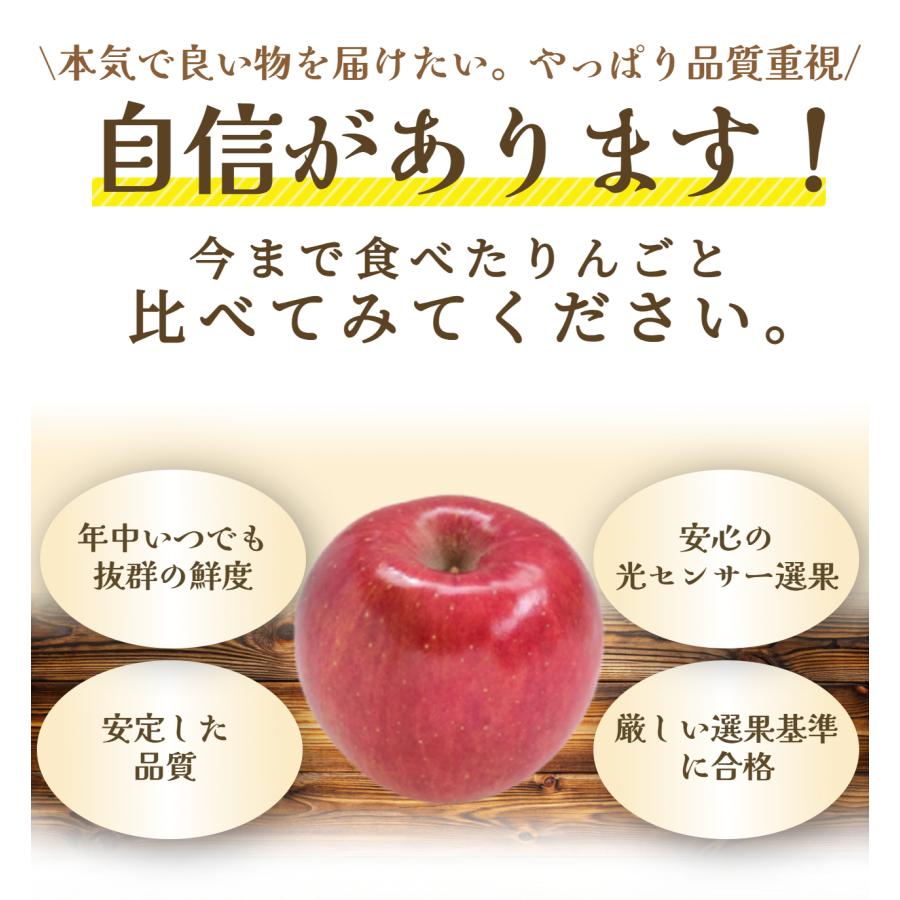 光センサー選果保証】 高糖度 青森県産 りんご サンふじ サン ふじ 蜜