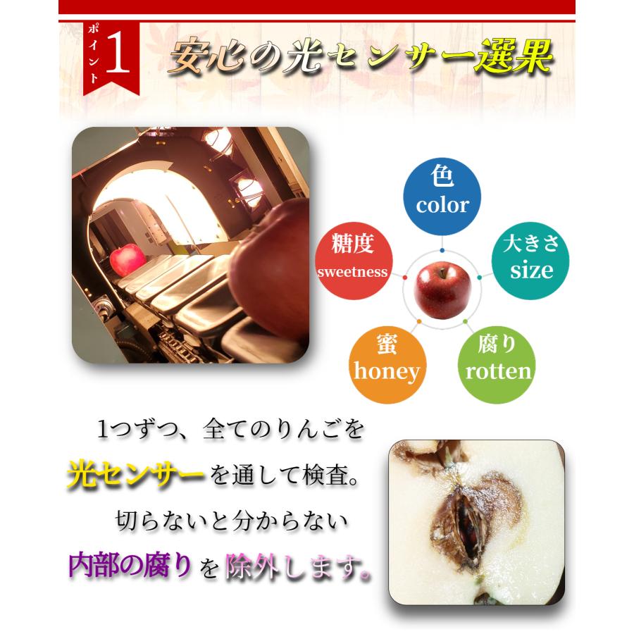 光センサー選果保証】 高糖度 青森県産 りんご サンふじ サン ふじ 蜜