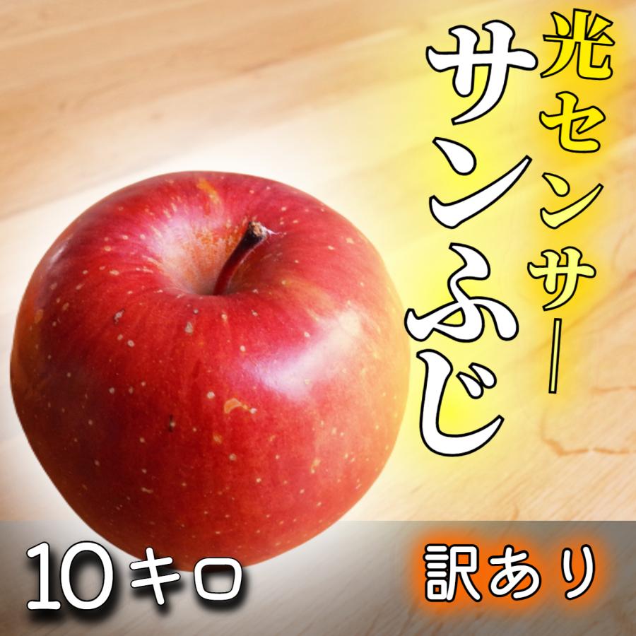 りんすけ品 ご依頼品 光センサー選果保証】 高糖度 青森県産 りんご サン ふじ サンフジ