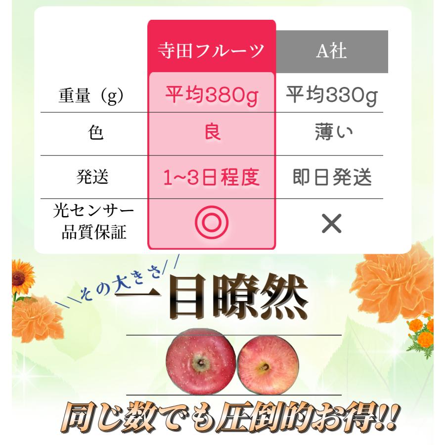 光センサー選果保証】 高糖度 青森県産 りんご サン ふじ サンフジ