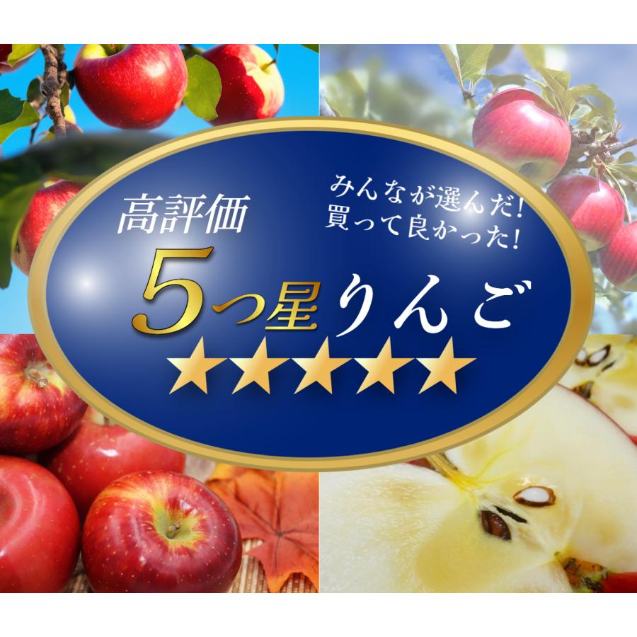 光センサー選果保証】 高糖度 青森県産 りんご サン ふじ サンフジ