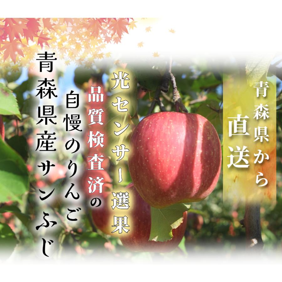 光センサー選果保証】 高糖度 青森県産 りんご サン ふじ サンフジ