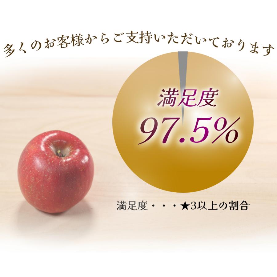 光センサー選果保証】 高糖度 青森県産 りんご サン ふじ サンフジ