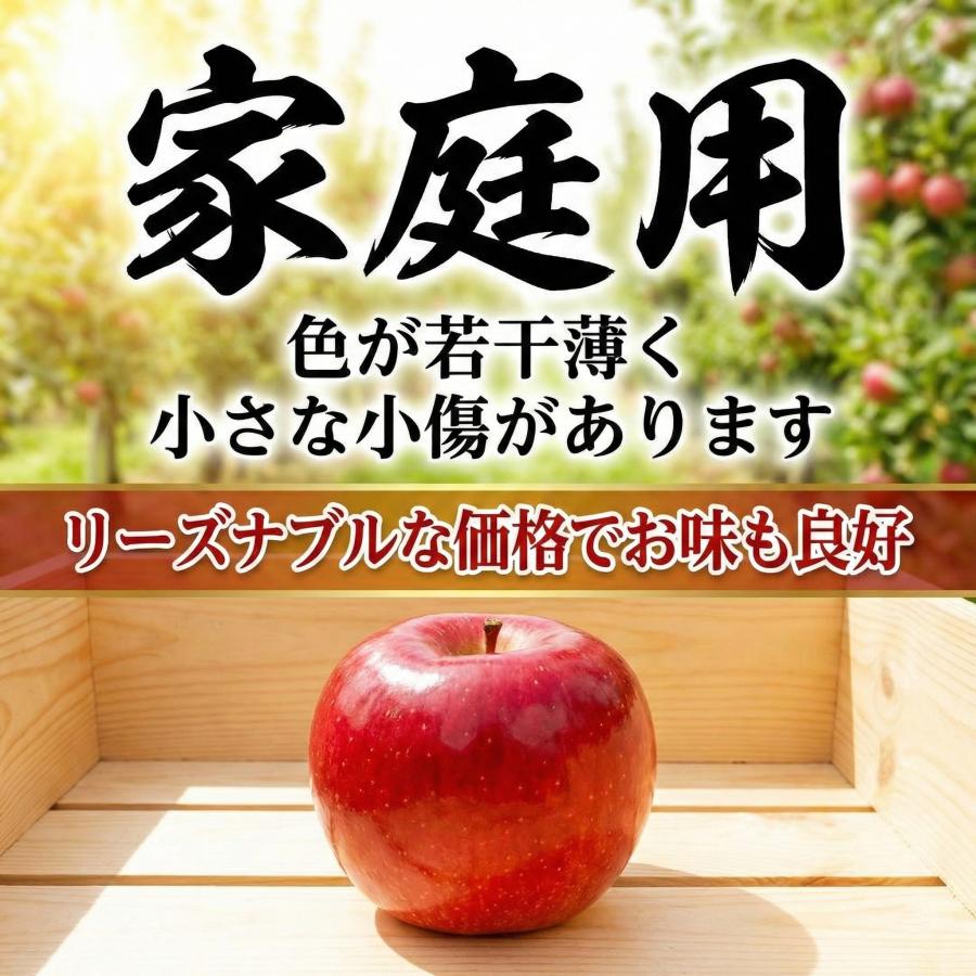 光センサー選果保証】 高糖度 青森県産 りんご 蜜 サン つがる 家庭用