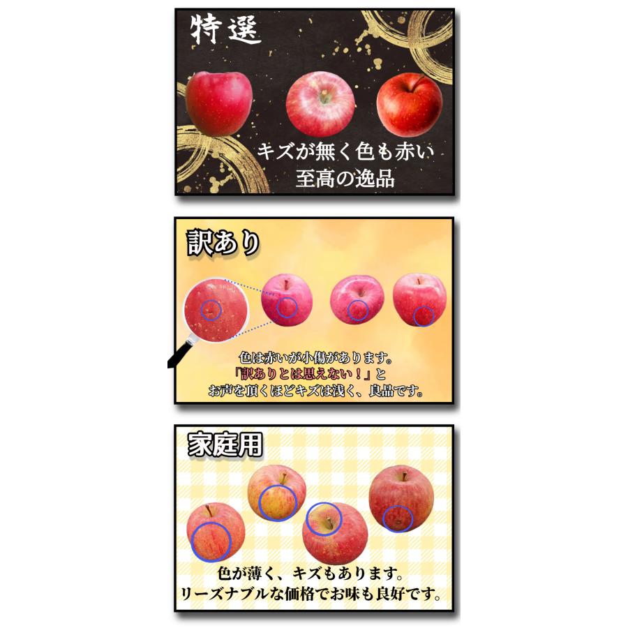 光センサー選果保証】 高糖度 青森県産 りんご 早生ふじ 弘前