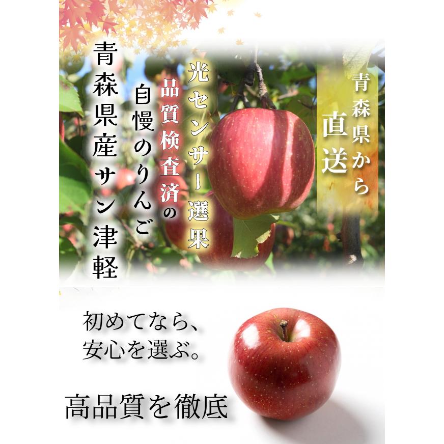 光センサー選果保証】 高糖度 青森県産 りんご 蜜 サン つがる 家庭用