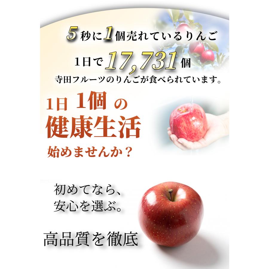 光センサー選果保証】 高糖度 青森県産 りんご 有袋ふじ 家庭用 ふじ