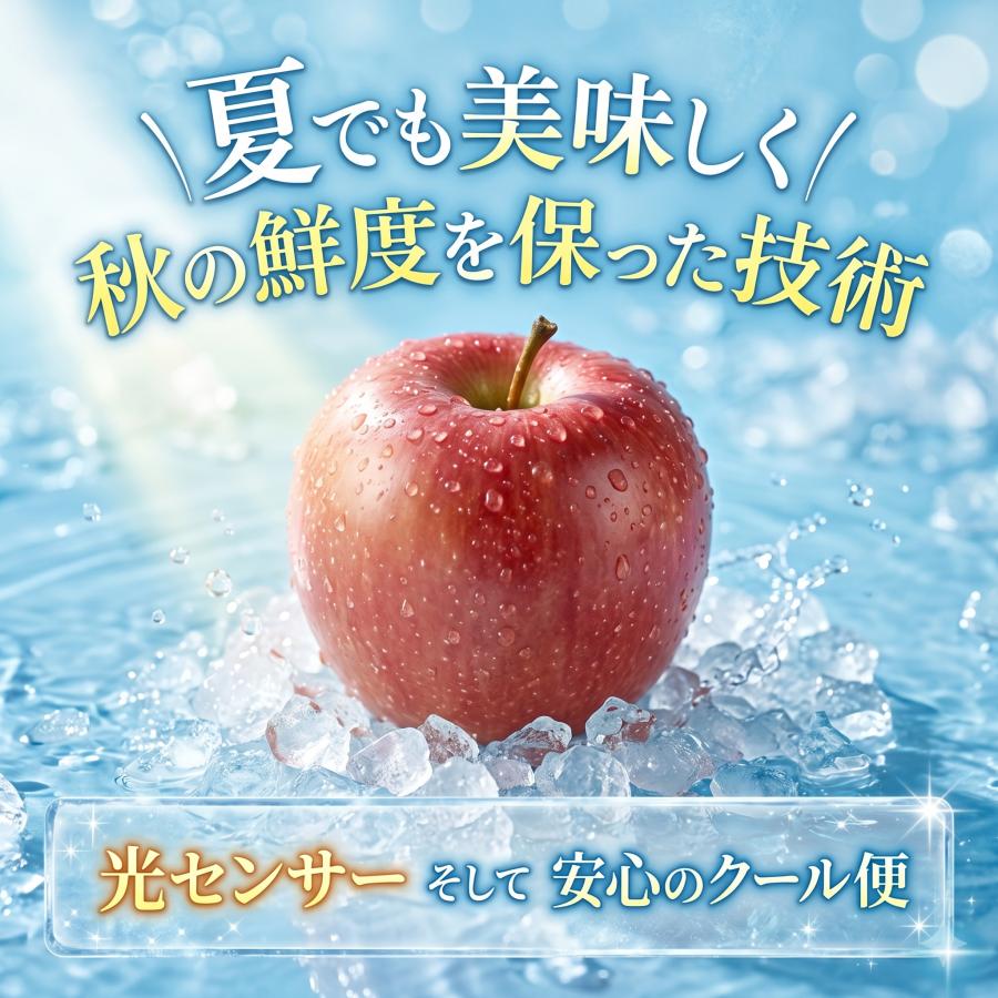 安心のクール便／ 【光センサー選果保証】 高糖度 青森県産 りんご 有