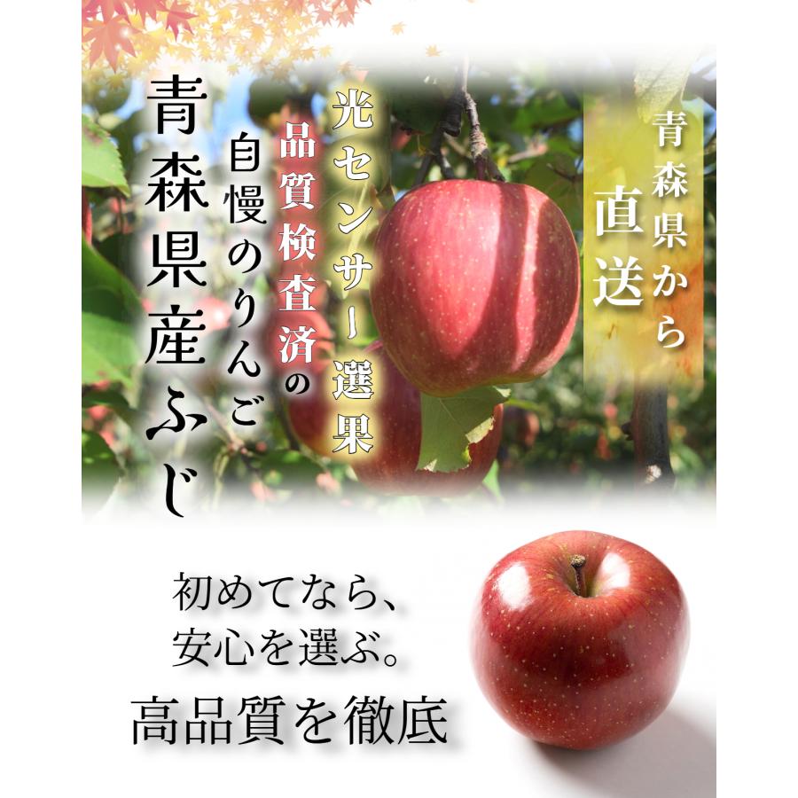 安心のクール便／ 【光センサー選果保証】 高糖度 青森県産 りんご 有