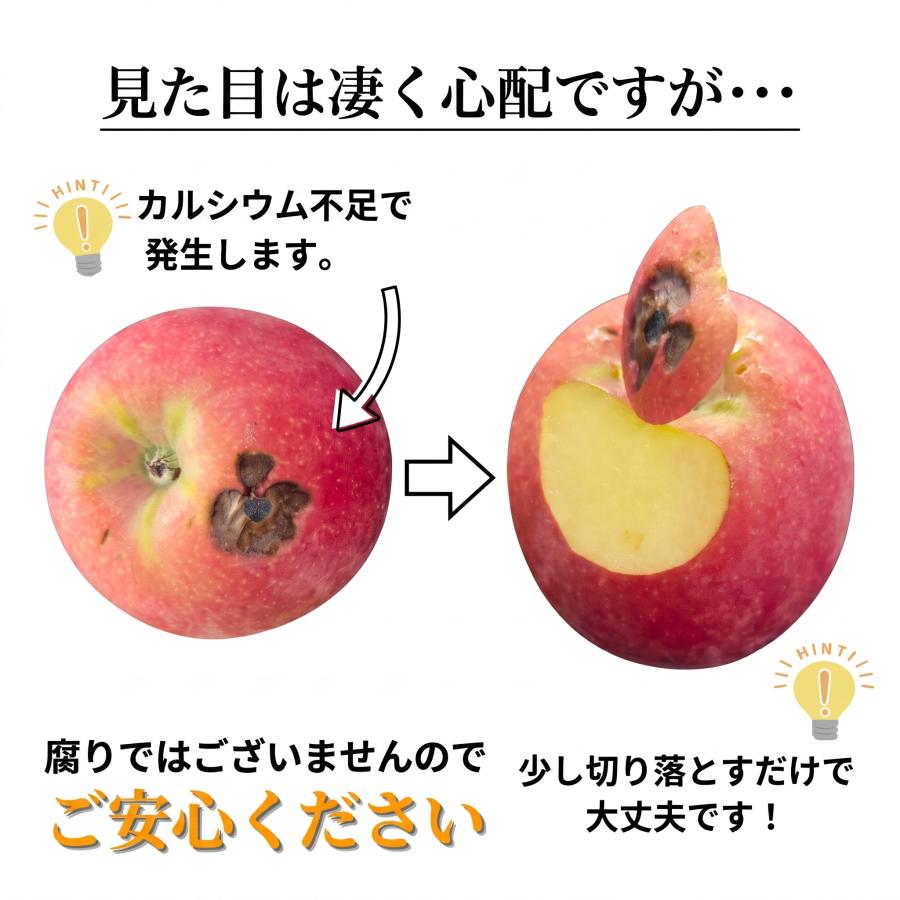 安心のクール便／ 光センサー選果 青森県産 りんご 10キロ 加工用 10kg