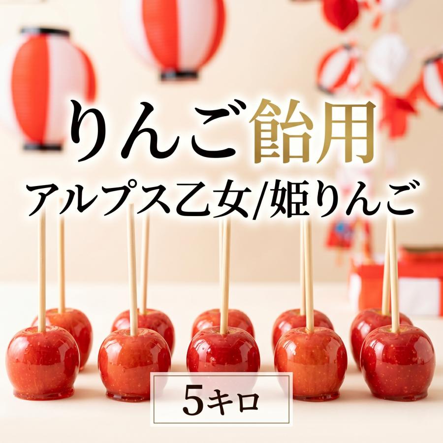 冷蔵便 姫りんご アルプス乙女 5kg りんご飴 飴 お菓子 青森県産 青森