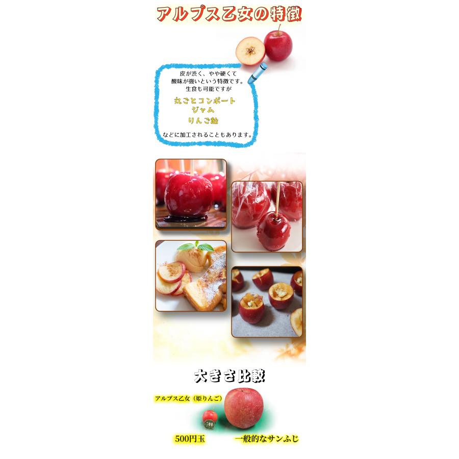 冷蔵便 姫りんご アルプス乙女 5kg りんご飴 飴 お菓子 青森県産 青森