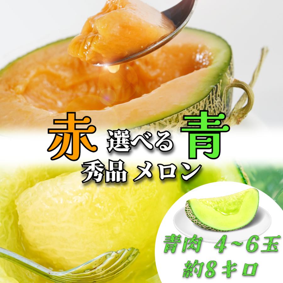 2026年発送予約】 青肉メロン 4~6玉 【秀品】 御中元 メロン 2玉 3玉 6 