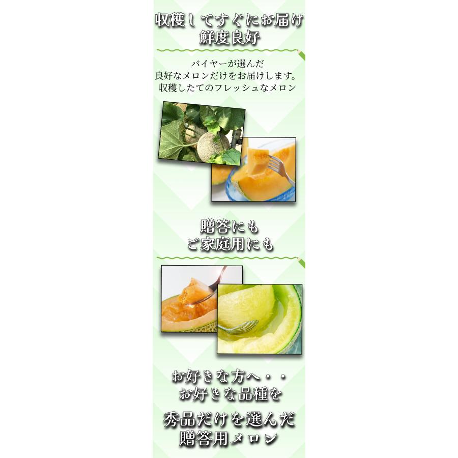 2026年発送予約】 青肉メロン 4~6玉 【秀品】 御中元 メロン 2玉 3玉 6