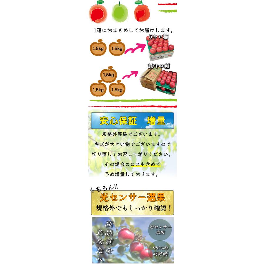 光センサー選果保証】 高糖度 青森県産 りんご サンつがる 規格外 5kg