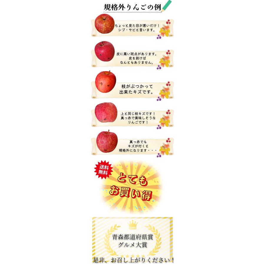 光センサー選果保証】 高糖度 青森県産 りんご サン ふじ 規格外 5kg 5